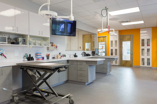 VETERINARY SURGERY CENTER OF SARASOTA - 13 Photos & 10 Reviews