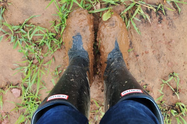 Blue Moon Acres Buckingham, PA by null