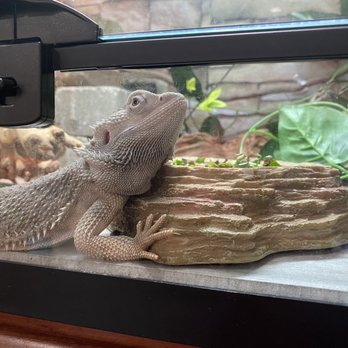 Buddie's Pet Shop - Pet Stores Near Me - Bloomington, California