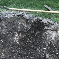 Fox's Tree Service