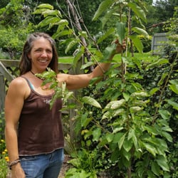 Food Fantasies - One of our local vendors Amy from Greenthoughts Garden. We sell her locally made soaps, oils, and more!