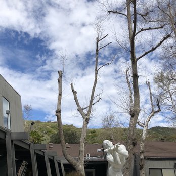 laguna college of art and design ranking