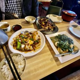 Sizzling elk, fish fillet with black bean sauce, spinach with shrimp. Sizzling elk, fish fillet with black bean sauce, spinach with shrimp.