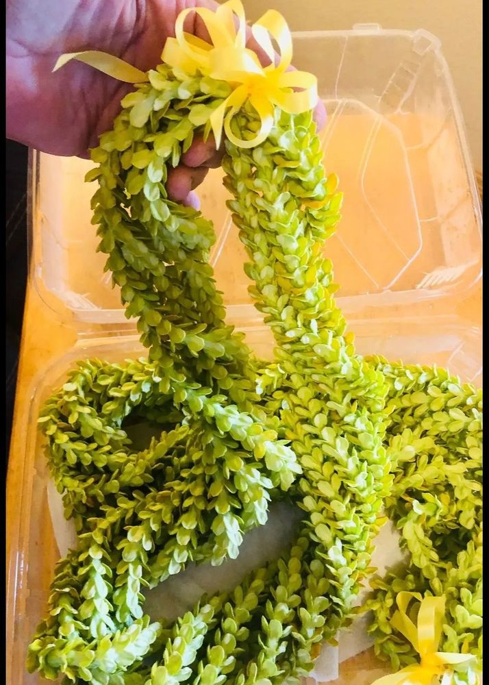 Paradise Kauai Mobile Massage Logo