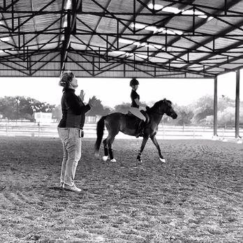 Crimson Jewel Equestrian - Horseback Riding Near Me - Ridge Spring, South Carolina Crimson Jewel Equestrian - Horseback Riding Near Me - Ridge Spring, South Carolina