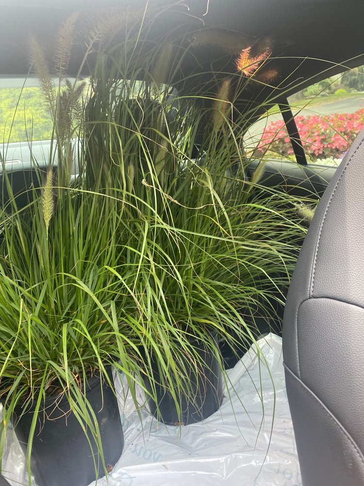 COLONIAL GARDENS Updated September 2024 12 Reviews 1174 Bronson