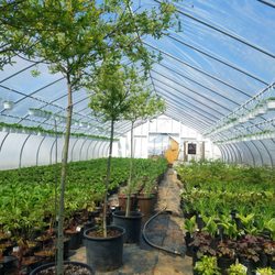 Green Farms