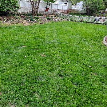 Triple D Lawncare & Snow Removal - Before - Lawn Services Near Me - Flat Rock, Michigan Triple D Lawncare & Snow Removal - Before - Lawn Services Near Me - Flat Rock, Michigan