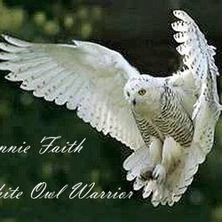 Bonnie Faith White Owl Warrior