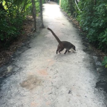 Xel-Há - Amusement Parks Near Me - Tulum, ROO