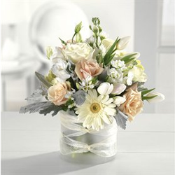 Steiner's  Flowers