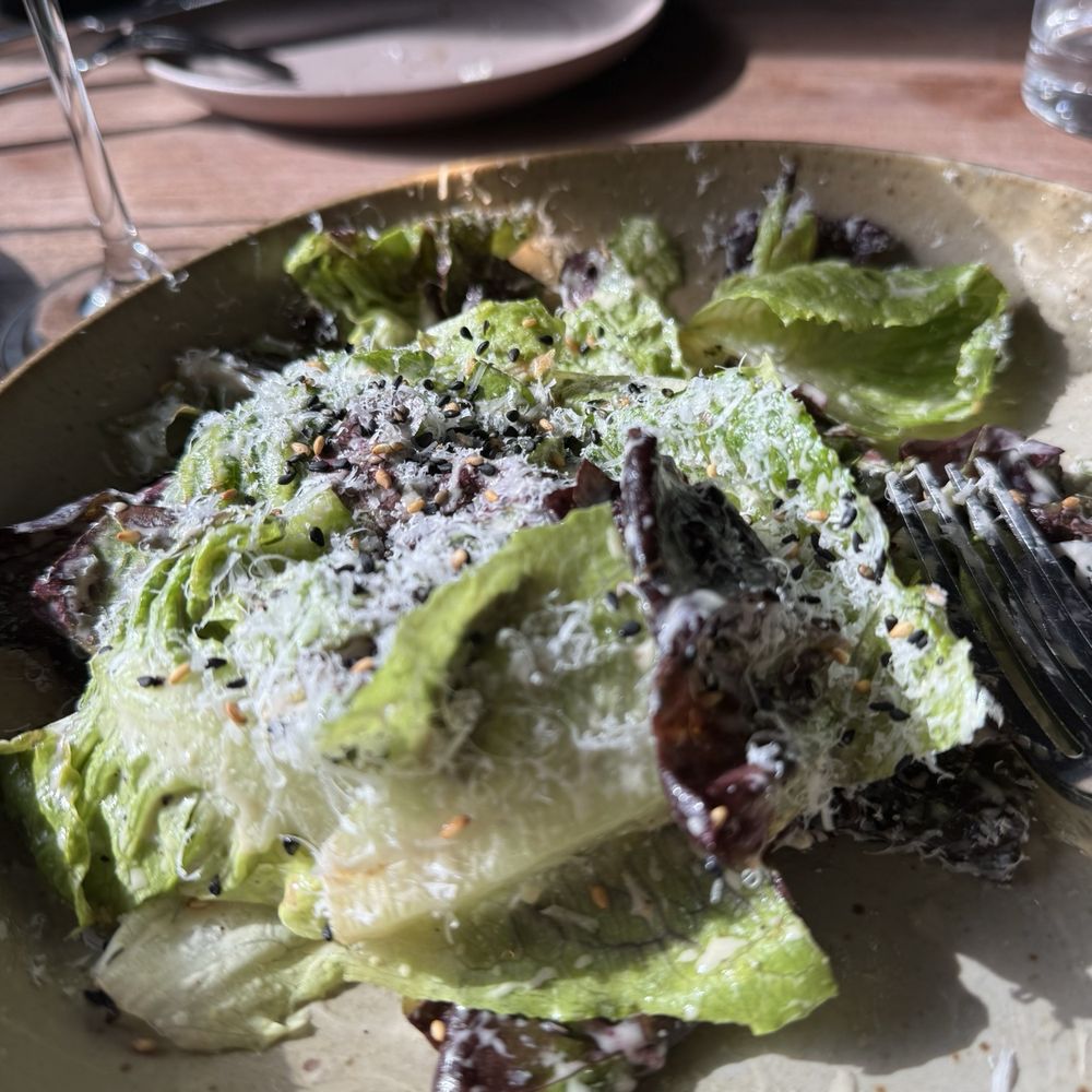 Flour + Water - Summer lettuces - Italian Near Me - San Francisco, California Flour + Water - Summer lettuces - Italian Near Me - San Francisco, California