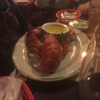 Captains Tavern - 2lb Maine lobster - Seafood Near Me - Miami, Florida Captains Tavern - 2lb Maine lobster - Seafood Near Me - Miami, Florida