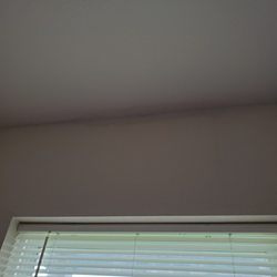Wade Jurney Homes - Leaking roof