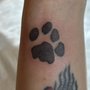 Photo of Lumen Ink