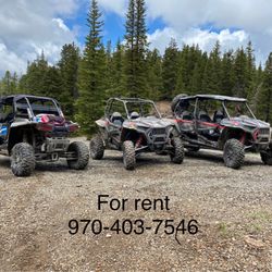 Los Pinos rentals