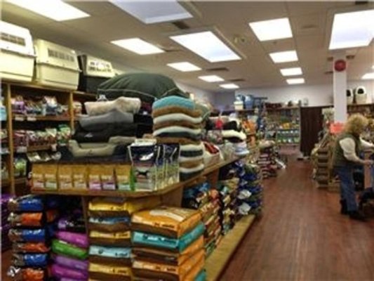 gibsons pet store