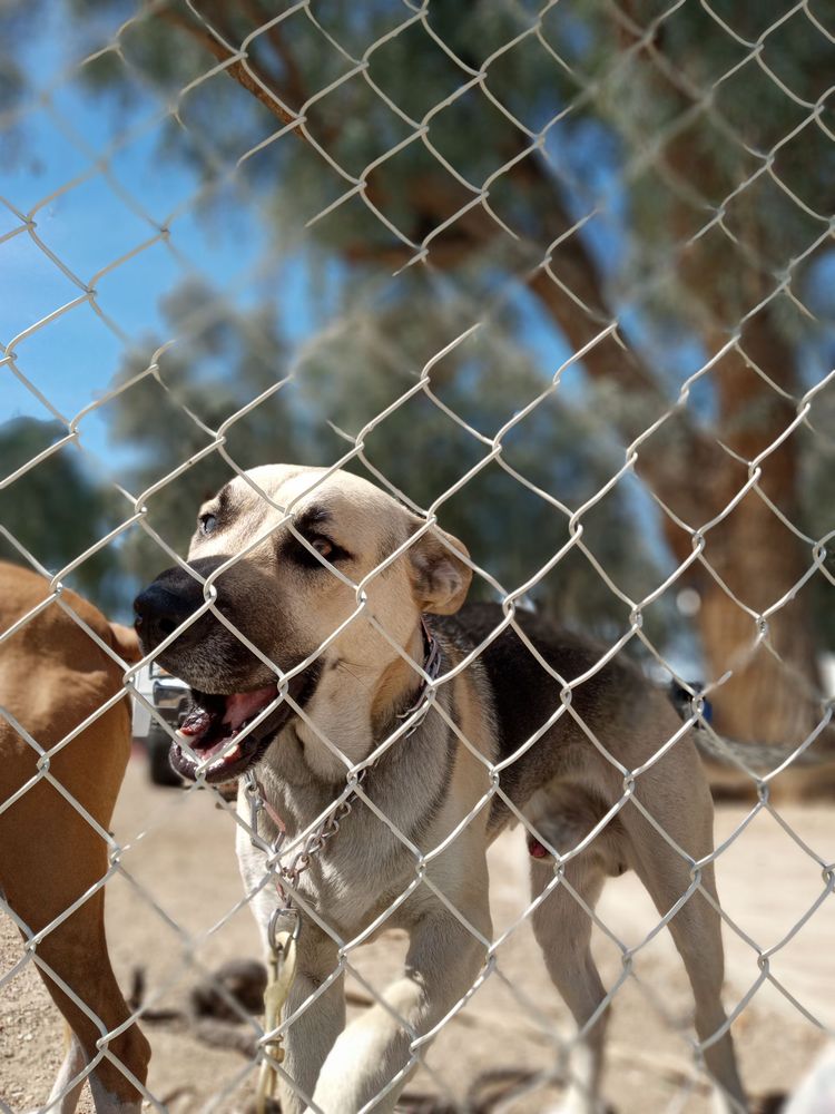 FENDER’S RIVER ROAD RESORT Updated May 2024 27 Photos & 18 Reviews