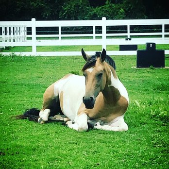 Fair Winds Farms - Horseback Riding Near Me - Virginia Beach, Virginia