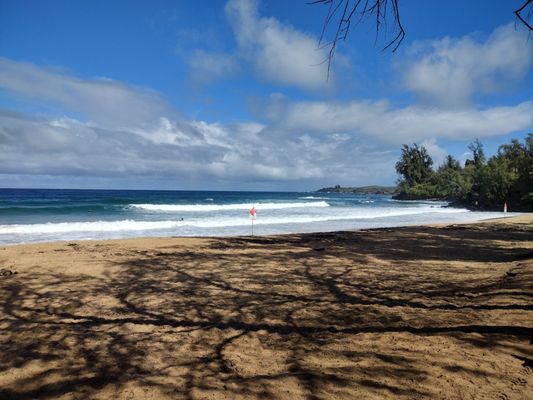 D.T. Fleming Beach Park by null