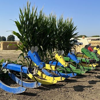 Cool Patch Pumpkins - Wooden Rocking Horses - Pumpkin Patches Near Me - Dixon, California