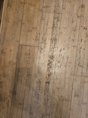 Angler's Hotel - Miami Beach by null