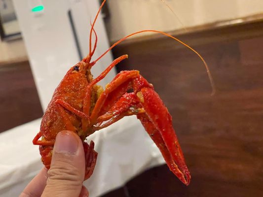 Cajun Kitchen by null