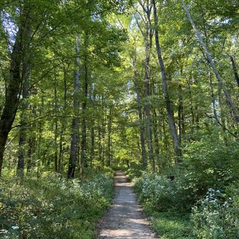 Eagle Creek Park - Parks Near Me - Indianapolis, Indiana Eagle Creek Park - Parks Near Me - Indianapolis, Indiana