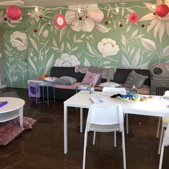 Cat Tales Cat Cafe - Cafes Near Me - Chapel Hill, North Carolina Cat Tales Cat Cafe - Cafes Near Me - Chapel Hill, North Carolina