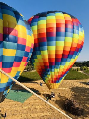 Napa Valley Aloft Hot Air Balloon Rides by null