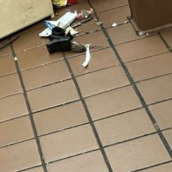 McDonald's - A dead rat