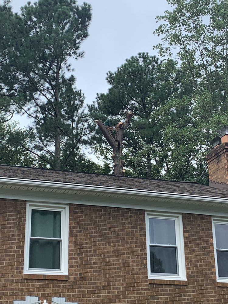 MARCELL LANDSCAPING AND TREE SERVICE Updated July 2024 16 Photos 18411 Honeylocust Cir