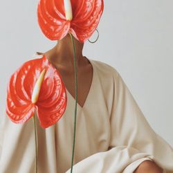 The Hana