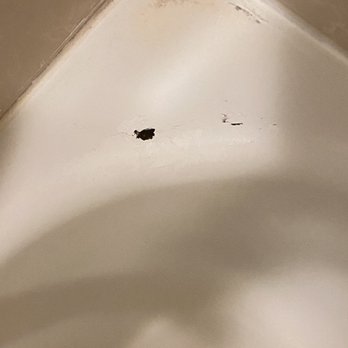 MainStay Suites - Close up chipped tub - Hotels Near Me - Appleton, Wisconsin MainStay Suites - Close up chipped tub - Hotels Near Me - Appleton, Wisconsin