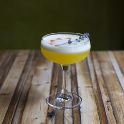 The Jones Family Project - Saffron Sour - photo taken by River Thompson