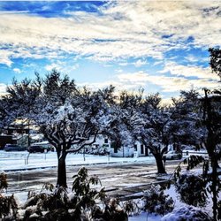 Bushnell University - Campus has some gorgeous scenery from the snow storm last month.
