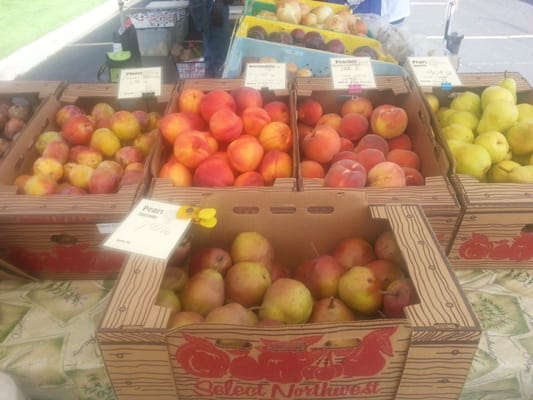 FAIRWOOD FARMERS MARKET by null