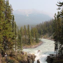 Sunwapta Falls - The first falls.