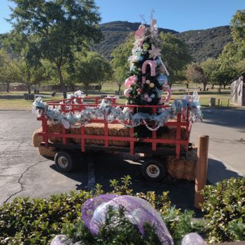 Bates Nut Farm - Back at the farm. - Specialty Food Near Me - Valley Center, California