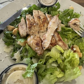 Busy Bee Diner - Chicken Caesar Salad - Desserts Near Me - Clearwater, Florida