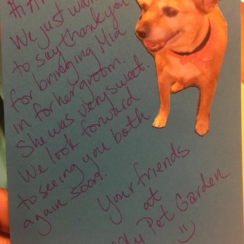 My Pet Garden - Pet Stores Near Me - Pasadena, California