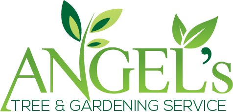 Angel's Lawn & Tree Service - tree service in Los Angeles, CA