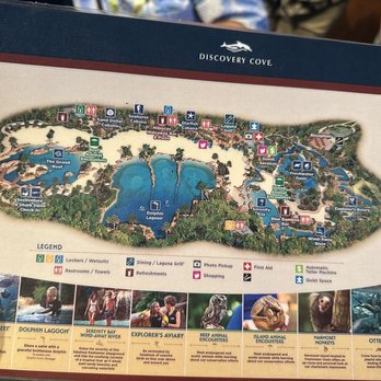 Discovery Cove - Amusement Parks Near Me - Orlando, Florida
