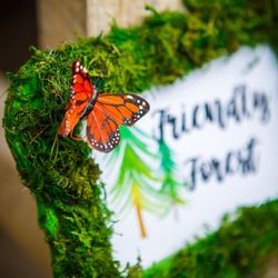 Kenzie's Events - Woodland party