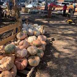 Flying Ghost Pumpkin Patch