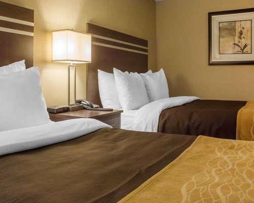Comfort Inn Guelph by null