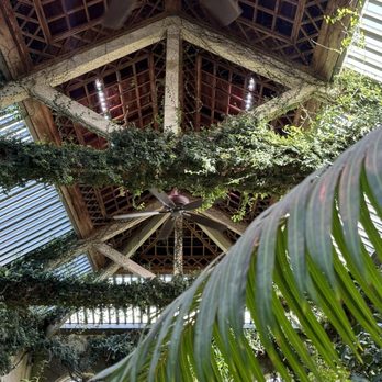 Dumbarton Oaks - interior garden - Botanical Gardens Near Me - Washington, DC, District of Columbia