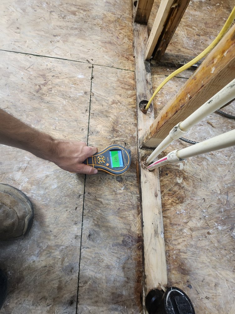 Slide of Smoky Mountain Restoration