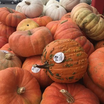 Sterino Farms - More pumpkins - Farmers Market Near Me - Puyallup, Washington Sterino Farms - More pumpkins - Farmers Market Near Me - Puyallup, Washington