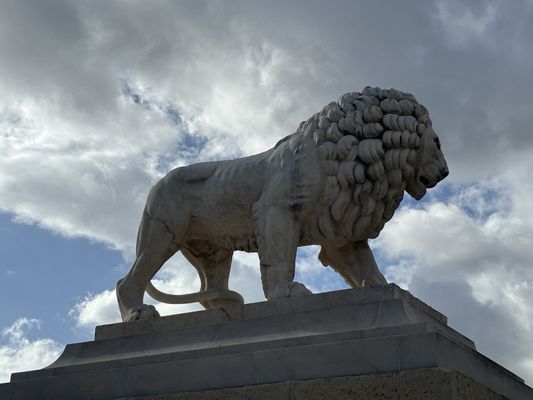 Tuileries Garden by null